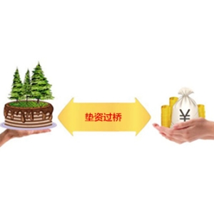 燕郊垫资过桥